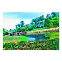 jardín del paisaje fotografias