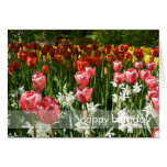 Jardín DSC0855 del tulipán Tarjeton