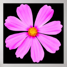 Jardín Flower-3-poster