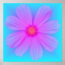 Jardín Flower-6-poster