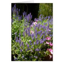 Jardín hermoso tarjetas