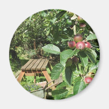 Jardín inglés del país imán de frigorífico
