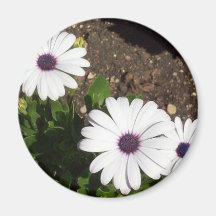 Jardín inglés floral iman para frigorífico