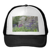 Jardín inglés gorros  