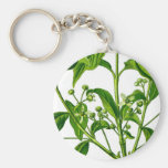 Jardín Llavero Personalizado