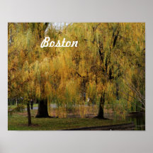 Jardín público de Boston Impresiones