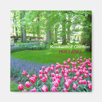 Jardín rosado de los tulipanes imanes