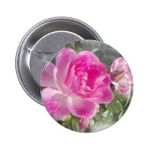 Jardín rosado subió