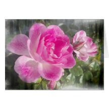 Jardín rosado subió felicitacion 