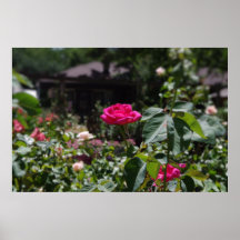 Jardín subió poster