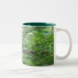 Jardín tranquilo con la taza de la estatua