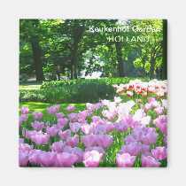 Jardín violeta de los tulipanes imanes