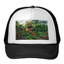 Jardines botánicos de Wellington Gorros
