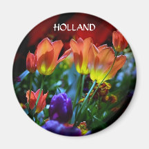 JARDINES DE KEUKENHOF, LISSE HOLANDA IMANES  