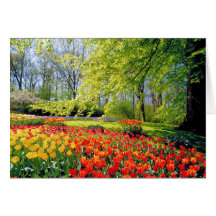 JARDINES DE KEUKENHOF TARJETAS