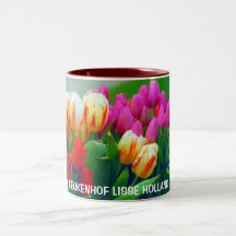 JARDINES DE KEUKENHOF TAZA