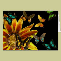 Jardines de la mariposa tarjetas