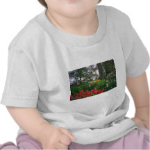 Jardines del tulipán camisetas