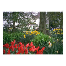 Jardines del tulipán invitaciones personalizada