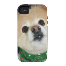 Jax iPhone 4 Fundas