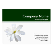 Jefe III del color - magnolia - verde oscuro Tarjetas Personales