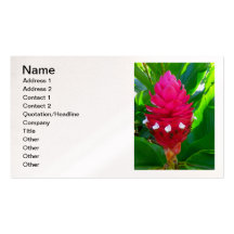 Jengibre hawaiano tarjeta personal