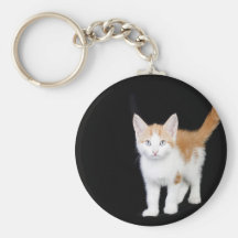 jengibre hermoso y gatito blanco llaveros personalizados