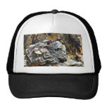 Jerarquía de Eagle Gorros