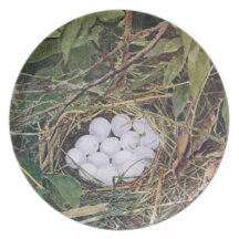 Jerarquía de la codorniz por completo de huevos plato