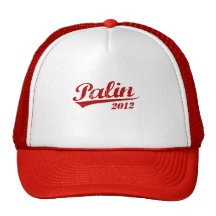 Jersey de PALIN Gorras