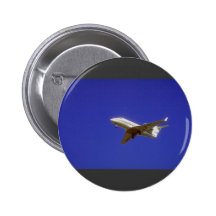 Jet ejecutivo pins