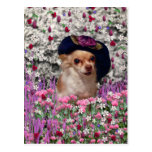 Ji de la ji en la postal de las flores - chihuahua