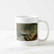 Jibias lindas tazas de café