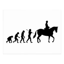 Jinete del caballo tarjetas postales