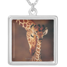 Jirafa adulta con el becerro (camelopardalis del G Joyeria Personalizada