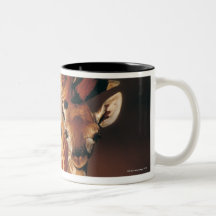 Jirafa adulta con el becerro (camelopardalis del G Taza De Café
