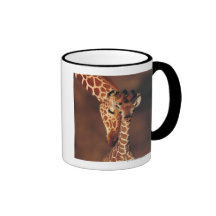 Jirafa adulta con el becerro (camelopardalis del G Tazas De Café