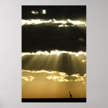 Jirafa at Sunset Posters