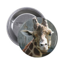 Jirafa coqueta pin