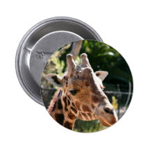 Jirafa de Baringo Pin