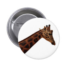 jirafa del baringo pins