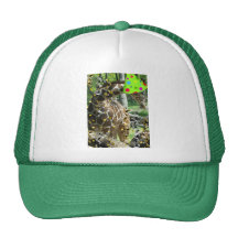 Jirafa del juerguista gorros  