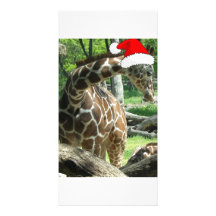 Jirafa del navidad tarjetas fotográficas personalizadas