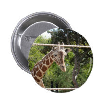 Jirafa Pins