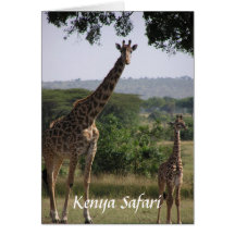 Jirafa, safari de Kenia Tarjeton