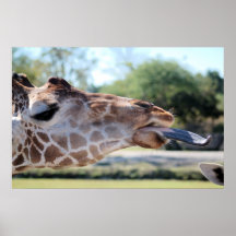Jiraffe Impresiones