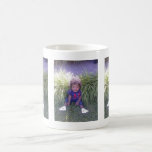 jj tazas