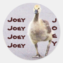 JOEY del name= Pegatinas