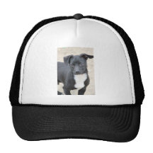 Joey Gorra