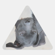Joey Pegatinas Trianguloes